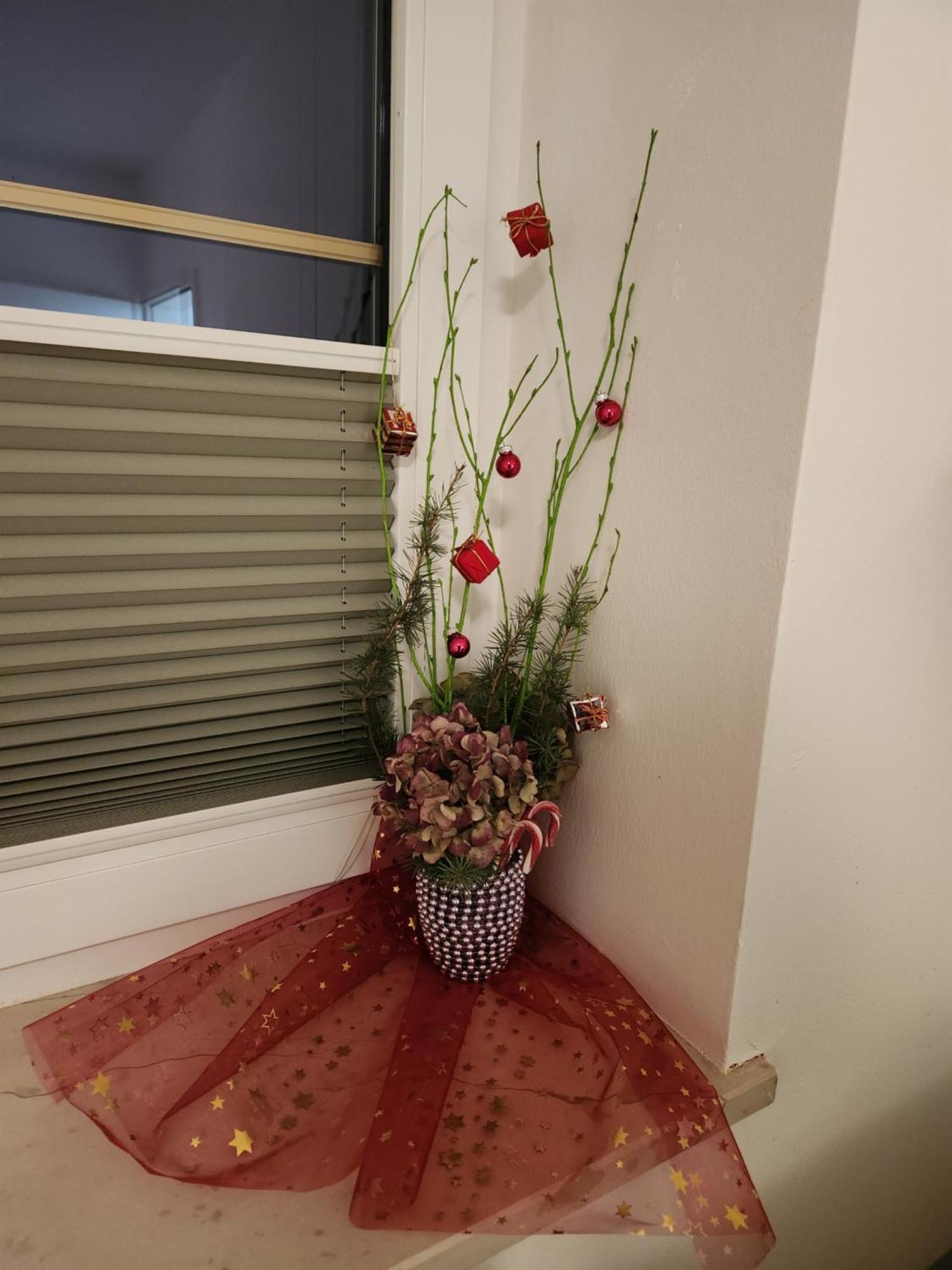 Vila Rajska Ptica Блед Стая снимка